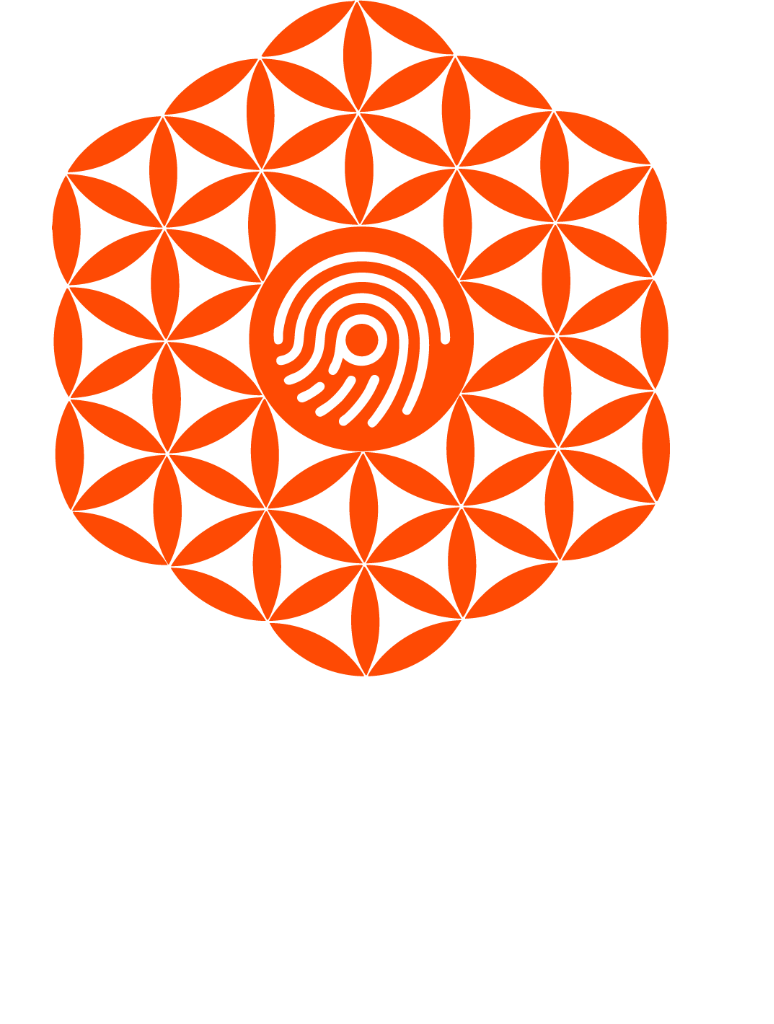 Pivision Logo